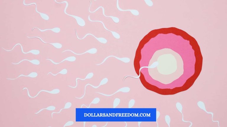 How Much Do You Get For a Sperm Donation – Everything You Need to Know